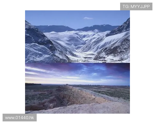 我的纪录片：用镜头捕捉时代的脉搏，用故事点燃内心的火焰